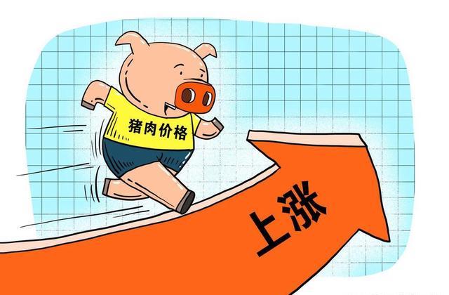第182页