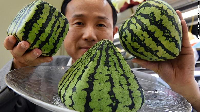 方形西瓜一个多少钱方形西瓜的价格因产地、季节、品质、市场需求等因素而有所不同。一般来说，其价格比普通圆形西瓜略高。例如，在日本，一个方形西瓜可以卖到几千人民币。而在中国的一些地方，方形西瓜的价格也因品牌、大小、产地等因素有所不同，通常价格可能在几十元到几百元不等。